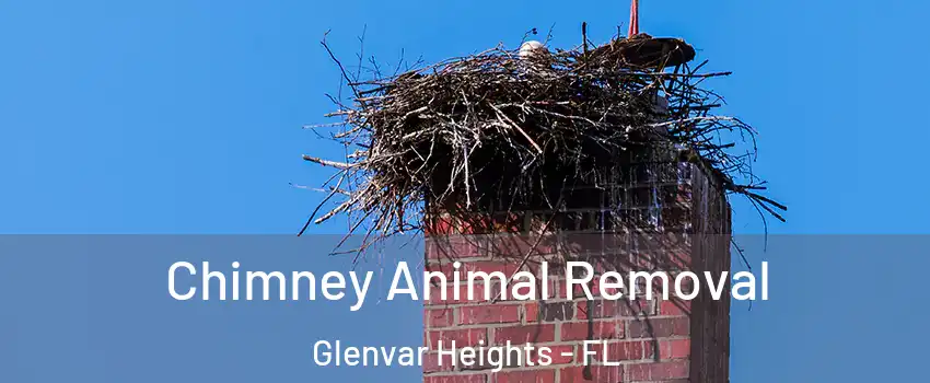  Chimney Animal Removal Glenvar Heights - FL