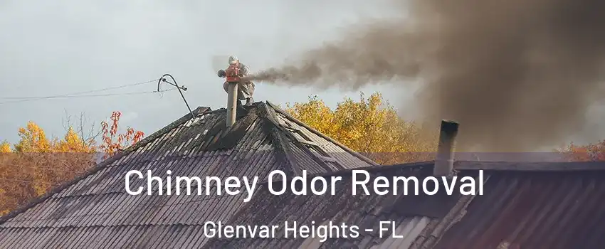 Chimney Odor Removal Glenvar Heights - FL