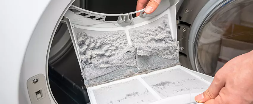 Best Dryer Lint Removal Company in Glenvar Heights, Florida