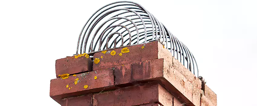 Chimney Crown Problems in Glenvar Heights, Florida