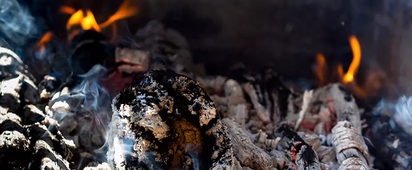 Creosote Removal Experts in Glenvar Heights, FL